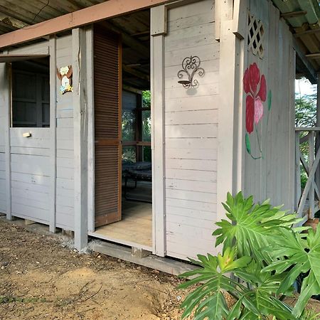 Camping Para Dos - A Escoger Segun Disponibilidad De Caseta O Cabana Caguas Exteriör bild