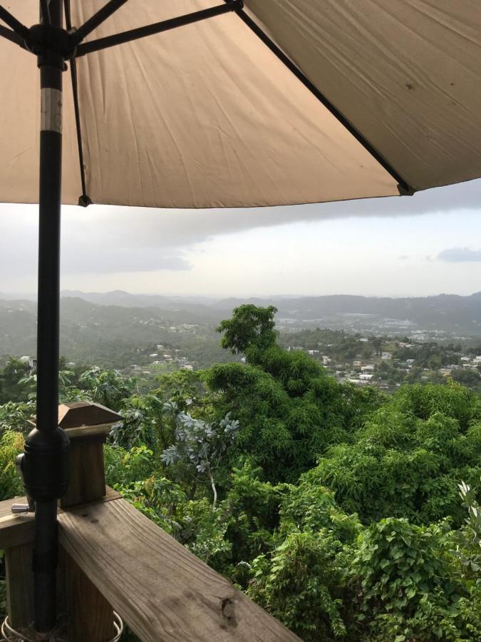 Camping Para Dos - A Escoger Segun Disponibilidad De Caseta O Cabana Caguas Exteriör bild