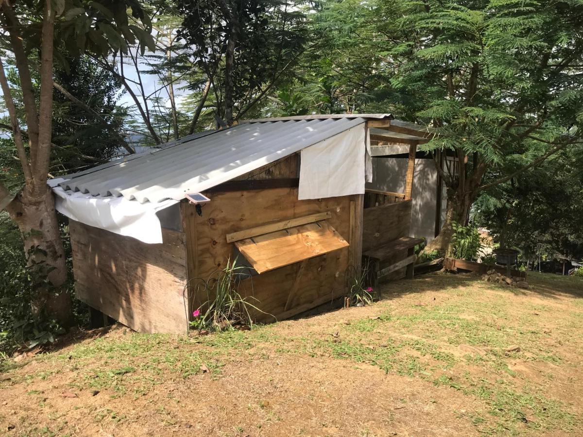 Camping Para Dos - A Escoger Segun Disponibilidad De Caseta O Cabana Caguas Exteriör bild