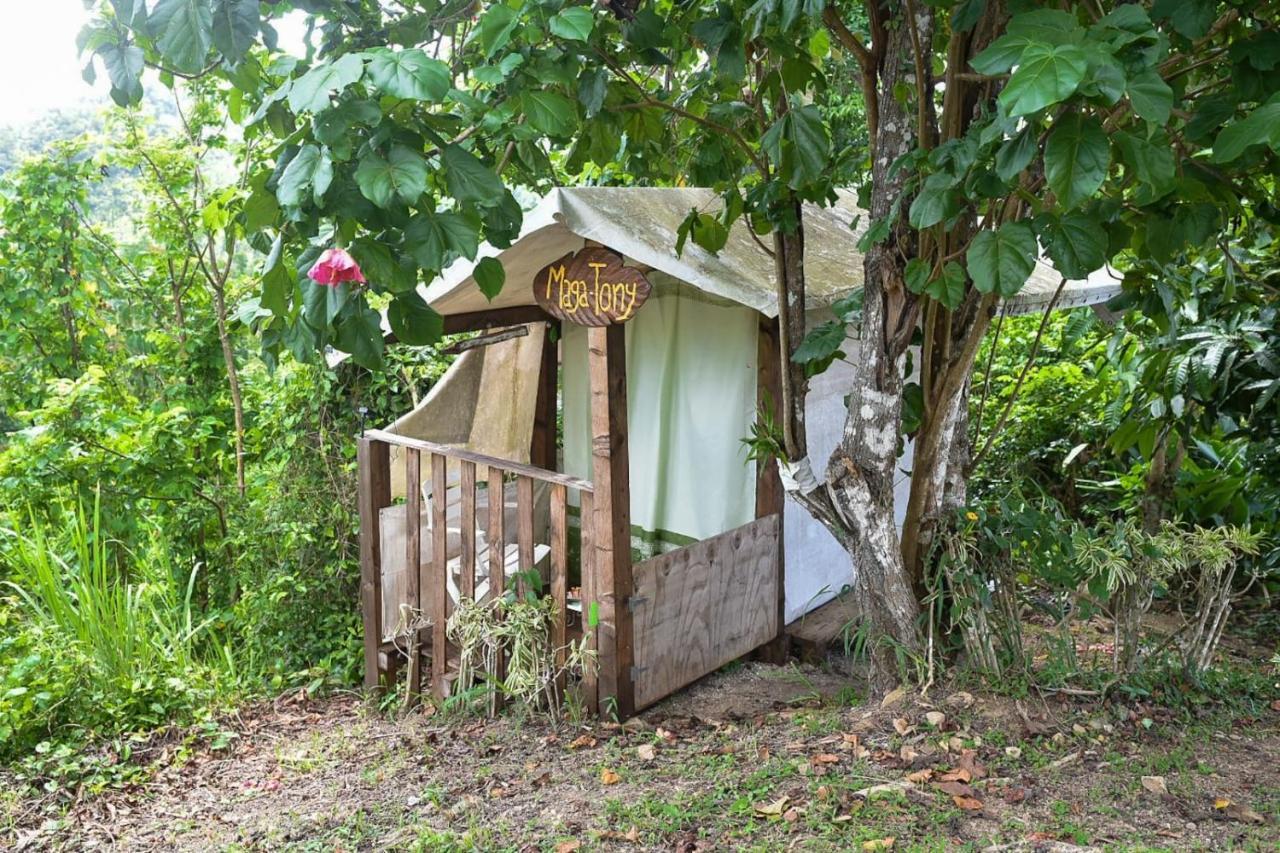 Camping Para Dos - A Escoger Segun Disponibilidad De Caseta O Cabana Caguas Exteriör bild