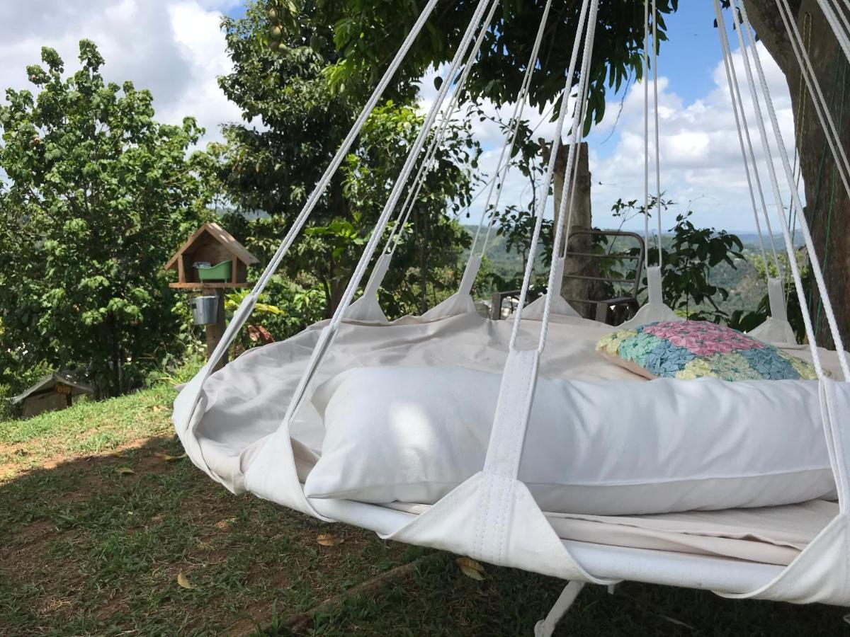 Camping Para Dos - A Escoger Segun Disponibilidad De Caseta O Cabana Caguas Exteriör bild