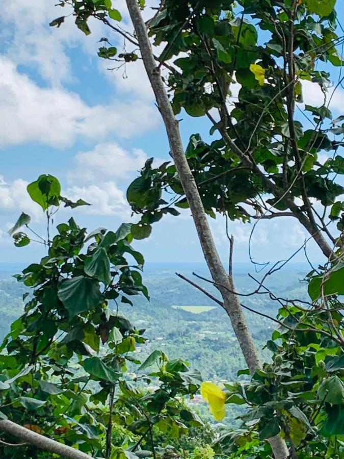 Camping Para Dos - A Escoger Segun Disponibilidad De Caseta O Cabana Caguas Exteriör bild