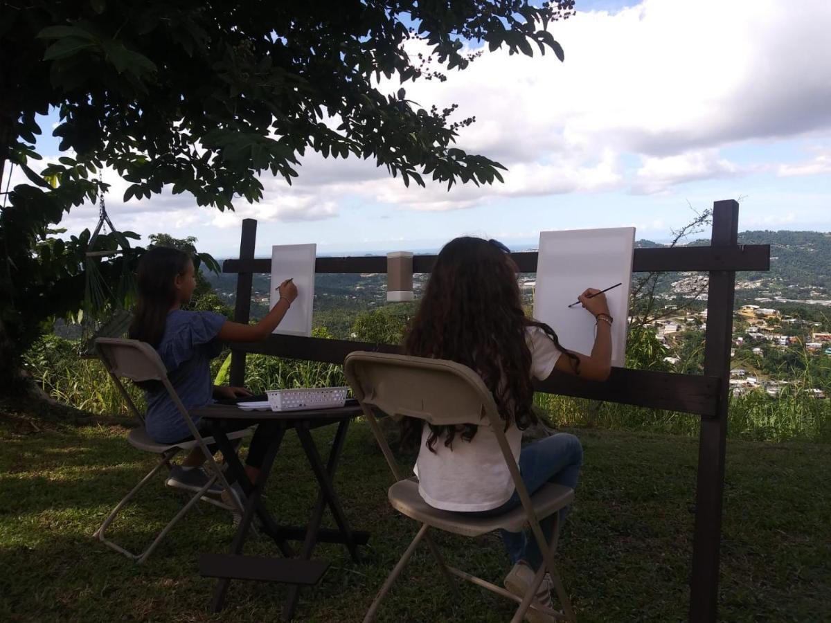 Camping Para Dos - A Escoger Segun Disponibilidad De Caseta O Cabana Caguas Exteriör bild