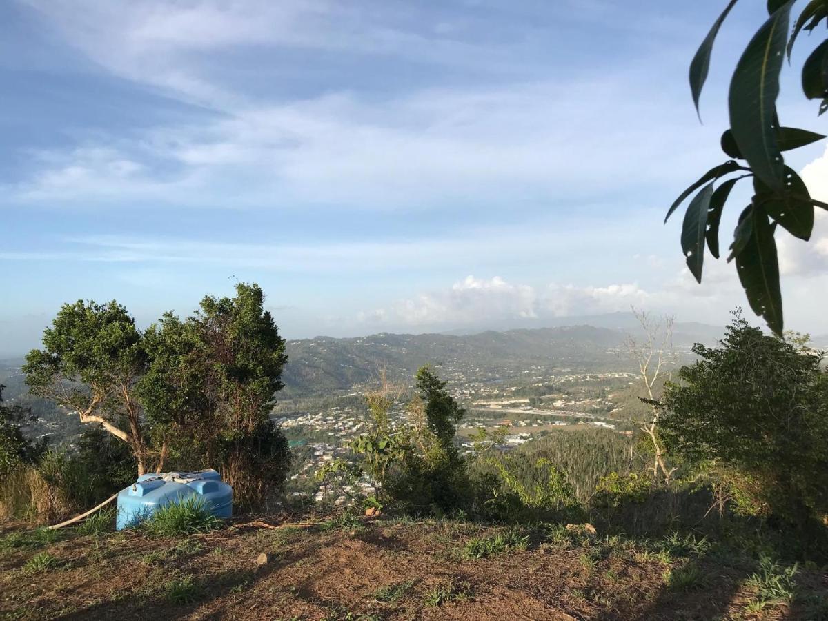 Camping Para Dos - A Escoger Segun Disponibilidad De Caseta O Cabana Caguas Exteriör bild