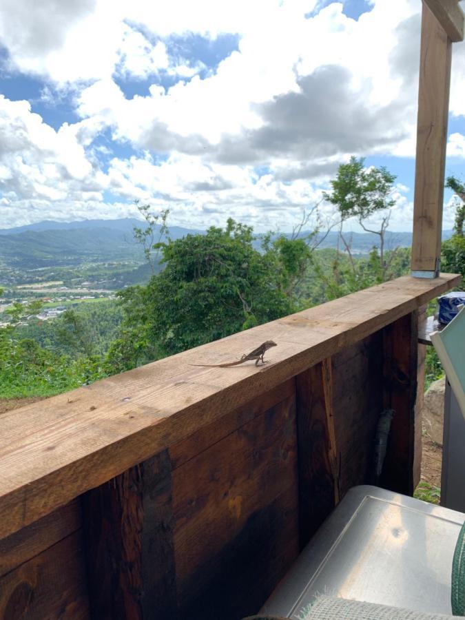 Camping Para Dos - A Escoger Segun Disponibilidad De Caseta O Cabana Caguas Exteriör bild