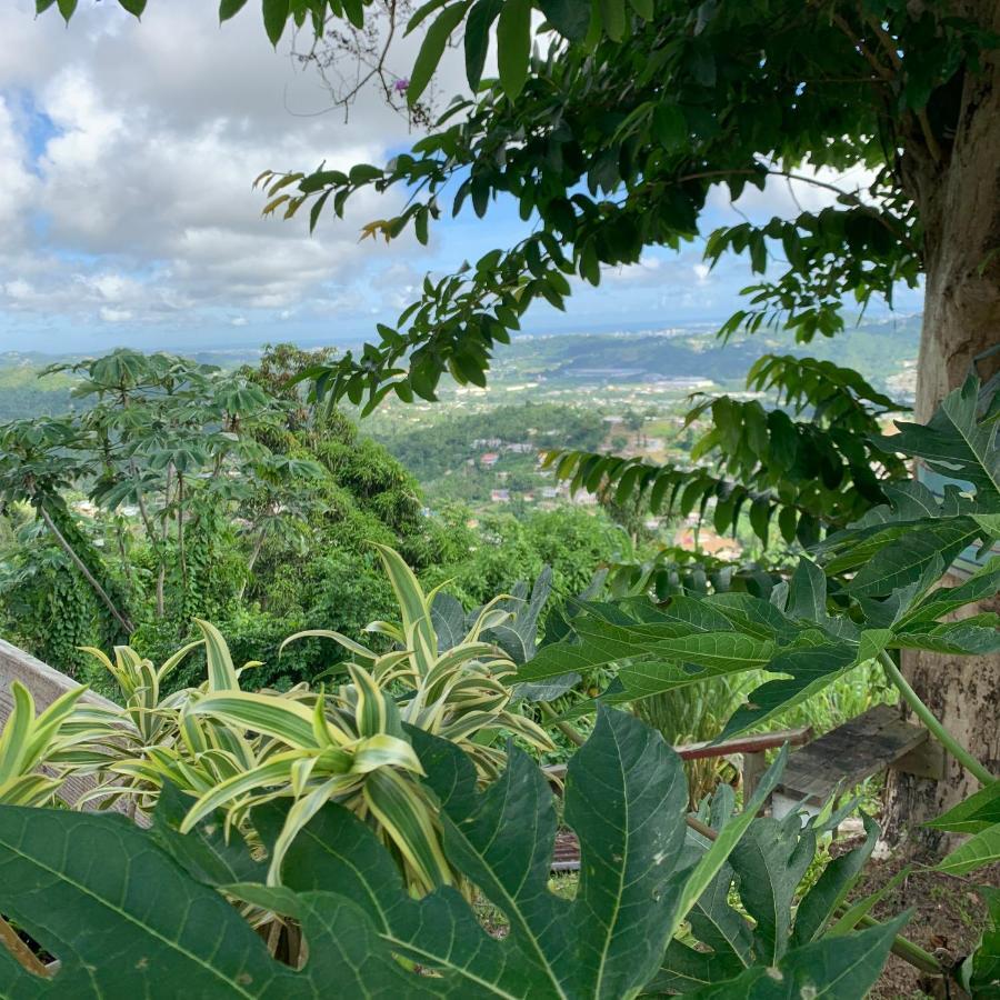 Camping Para Dos - A Escoger Segun Disponibilidad De Caseta O Cabana Caguas Exteriör bild