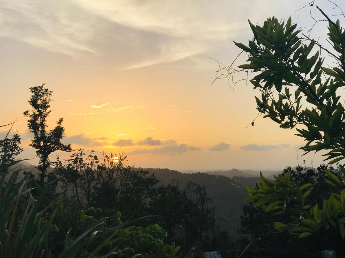 Camping Para Dos - A Escoger Segun Disponibilidad De Caseta O Cabana Caguas Exteriör bild