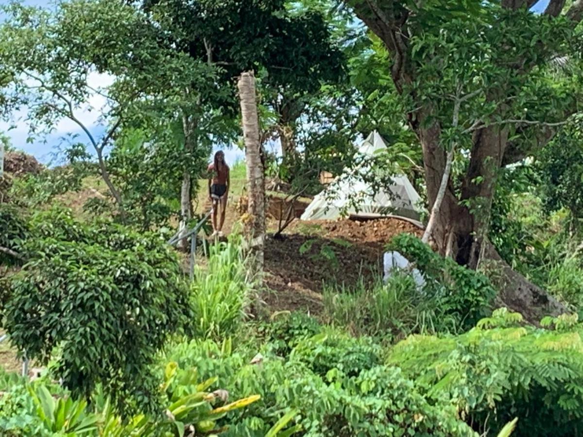 Camping Para Dos - A Escoger Segun Disponibilidad De Caseta O Cabana Caguas Exteriör bild