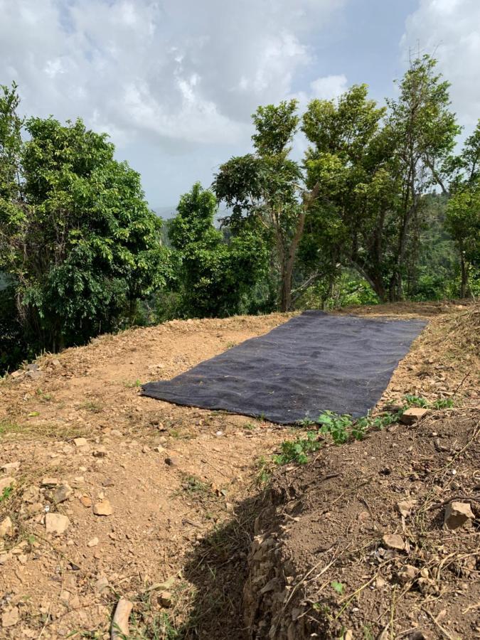 Camping Para Dos - A Escoger Segun Disponibilidad De Caseta O Cabana Caguas Exteriör bild