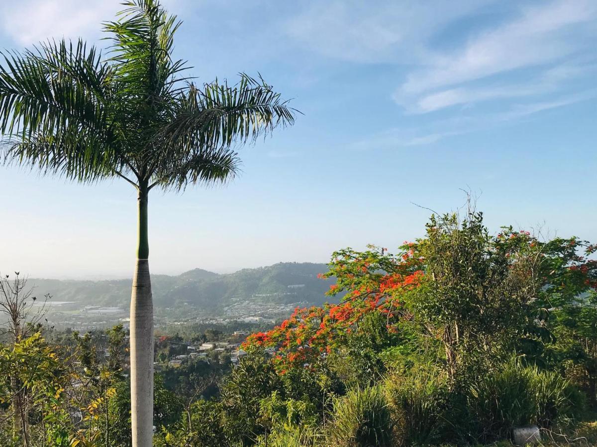 Camping Para Dos - A Escoger Segun Disponibilidad De Caseta O Cabana Caguas Exteriör bild
