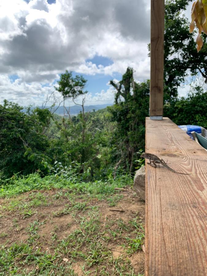 Camping Para Dos - A Escoger Segun Disponibilidad De Caseta O Cabana Caguas Exteriör bild