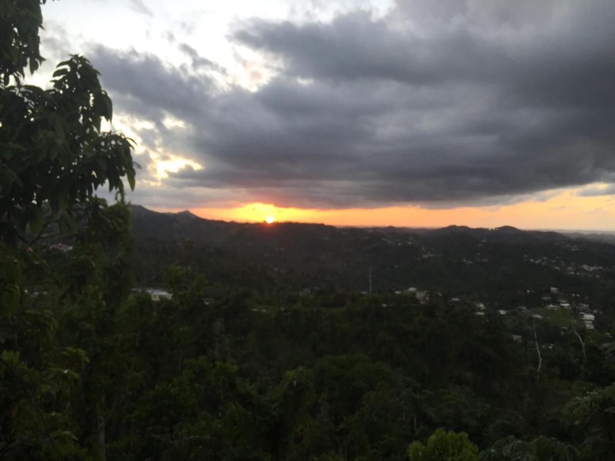 Camping Para Dos - A Escoger Segun Disponibilidad De Caseta O Cabana Caguas Exteriör bild