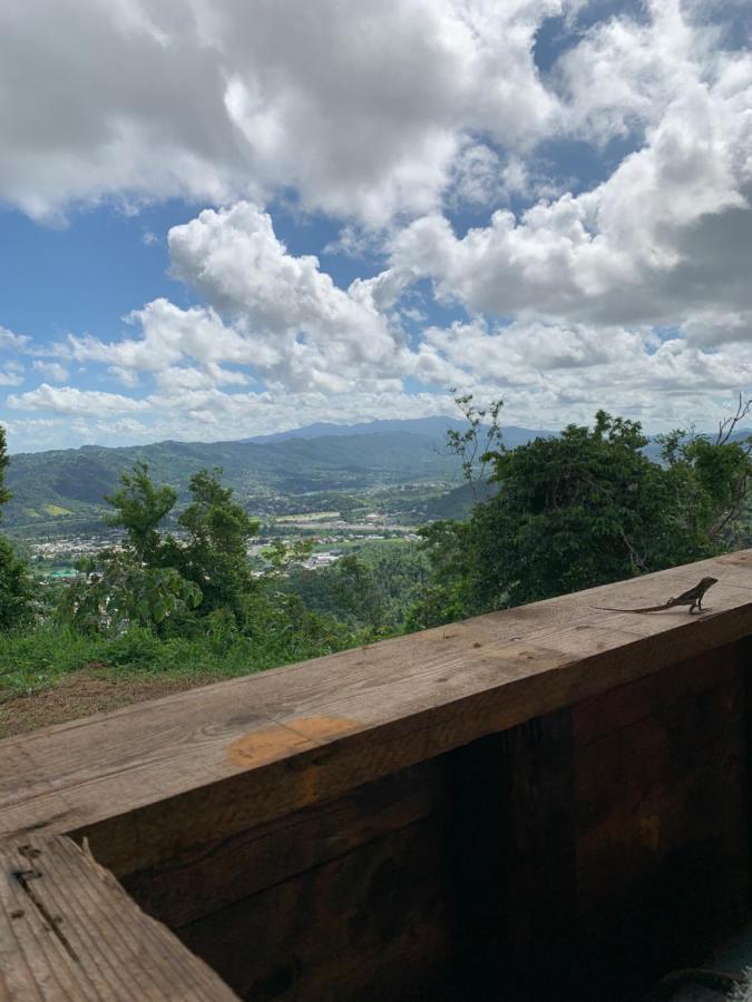 Camping Para Dos - A Escoger Segun Disponibilidad De Caseta O Cabana Caguas Exteriör bild