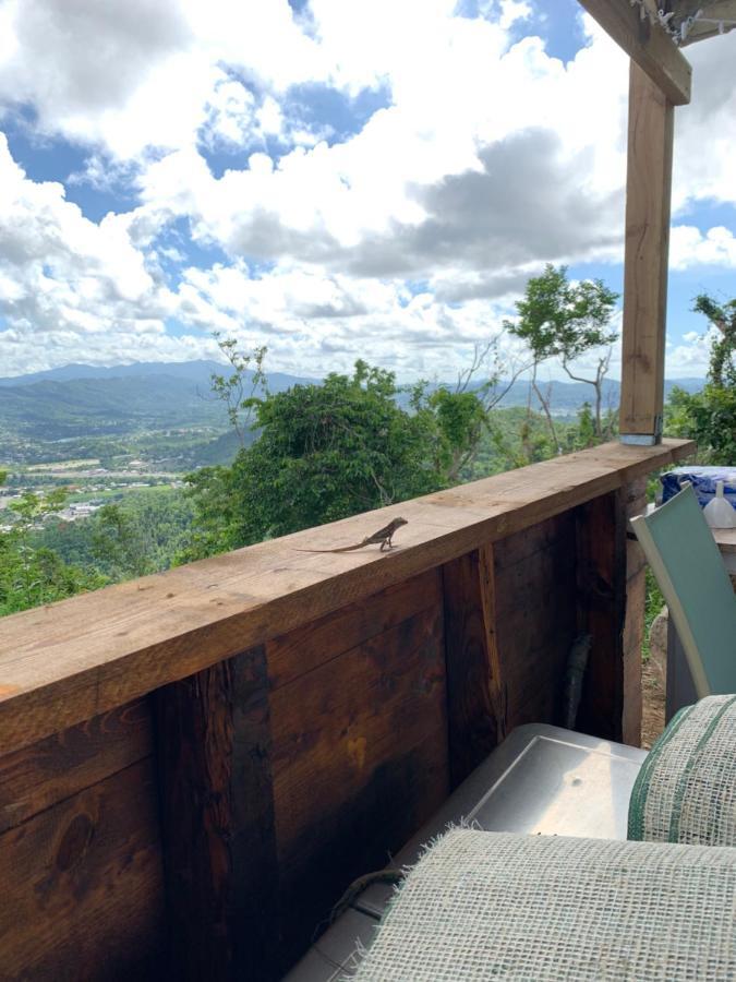 Camping Para Dos - A Escoger Segun Disponibilidad De Caseta O Cabana Caguas Exteriör bild
